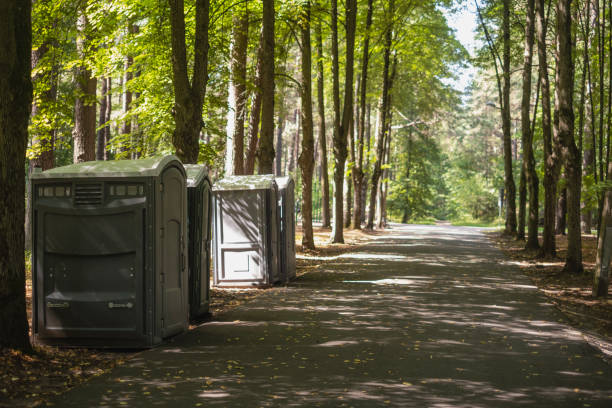 Best Porta potty delivery and setup  in Centrevle, IL